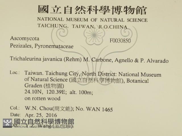 登錄號:F0030850藏品圖，第2張