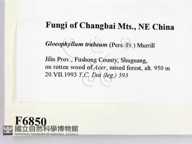 登錄號:F0006850藏品圖，第2張