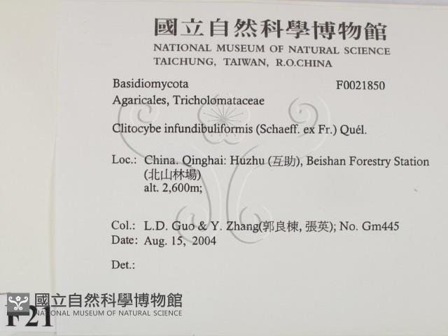 登錄號:F0021850藏品圖，第2張