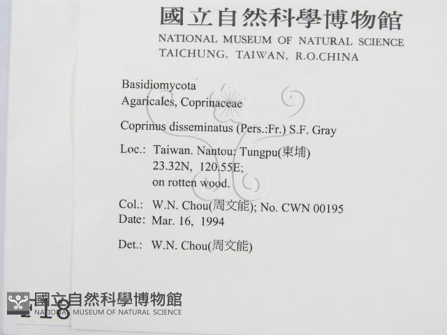 登錄號:F0001850藏品圖，第2張