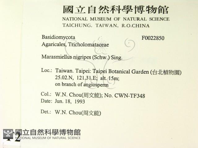 登錄號:F0022850藏品圖，第2張