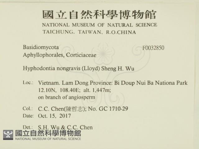 登錄號:F0032850藏品圖，第2張