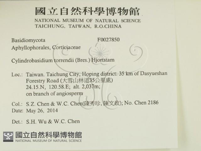 登錄號:F0027850藏品圖，第2張