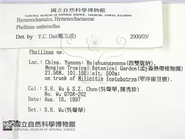 登錄號:F0007850藏品圖，第2張