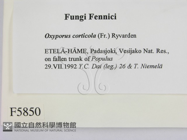 登錄號:F0005850藏品圖，第2張