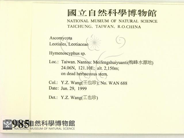 登錄號:F0009850藏品圖，第2張