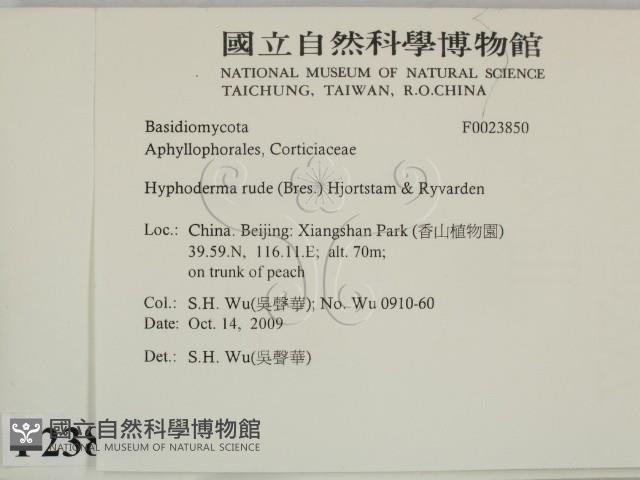 登錄號:F0023850藏品圖，第2張