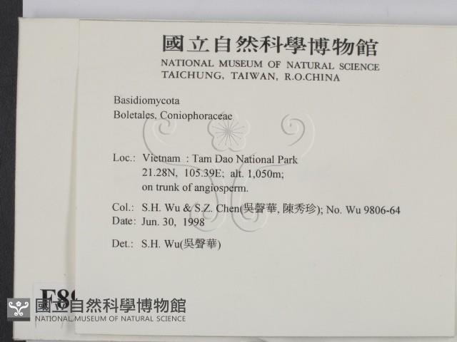 登錄號:F0008950藏品圖，第2張