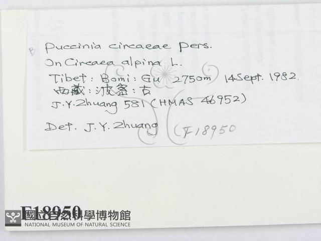 登錄號:F0018950藏品圖，第2張