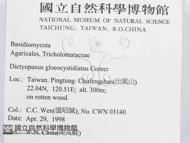 登錄號:F0010950藏品圖，第2張