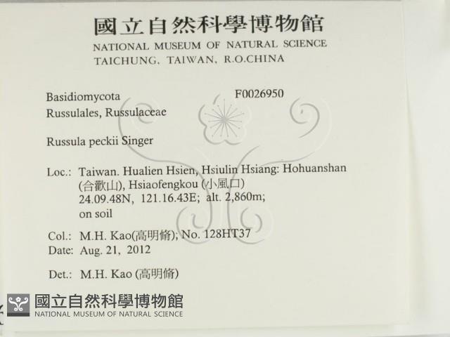 登錄號:F0026950藏品圖，第2張