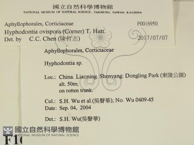 登錄號:F0016950藏品圖，第2張