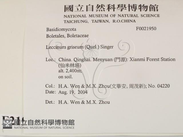 登錄號:F0021950藏品圖，第2張