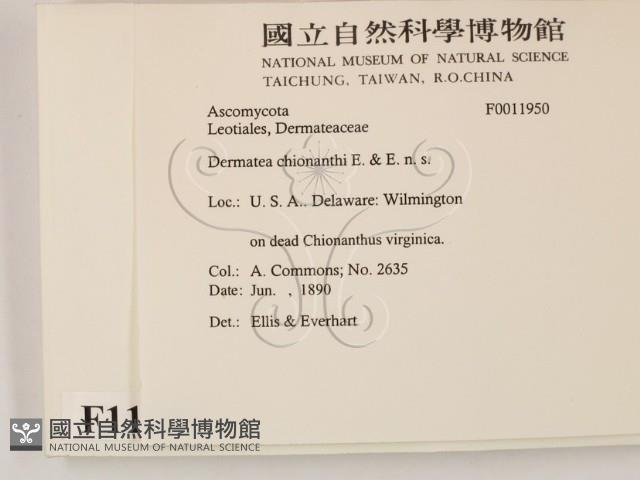 登錄號:F0011950藏品圖，第2張