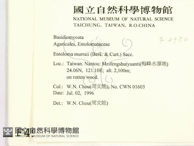 登錄號:F0004950藏品圖，第2張