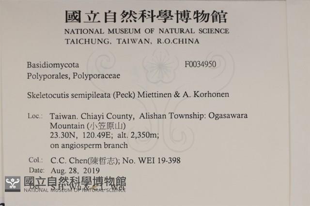 登錄號:F0034950藏品圖，第2張