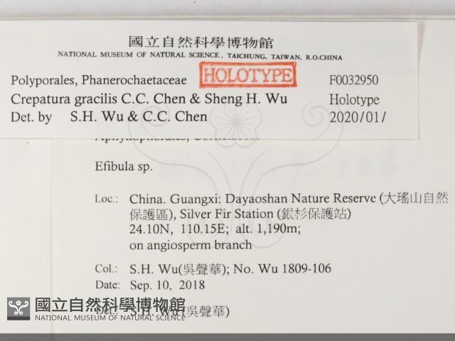 登錄號:F0032950藏品圖，第2張