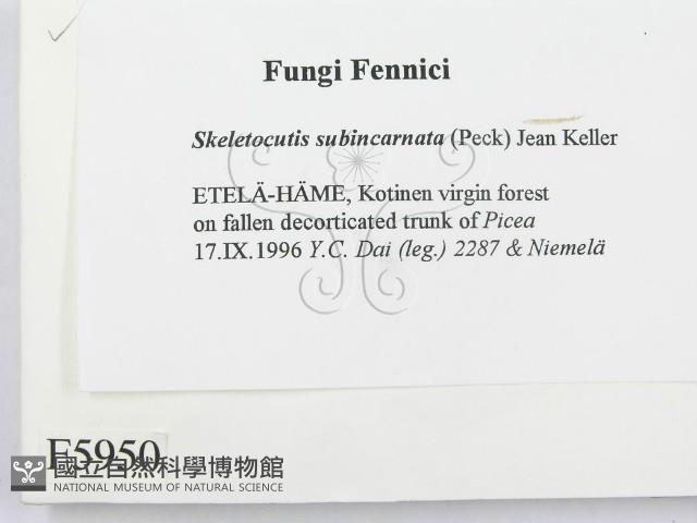 登錄號:F0005950藏品圖，第2張