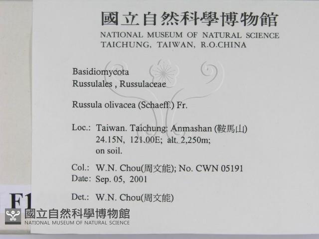 登錄號:F0015950藏品圖，第2張