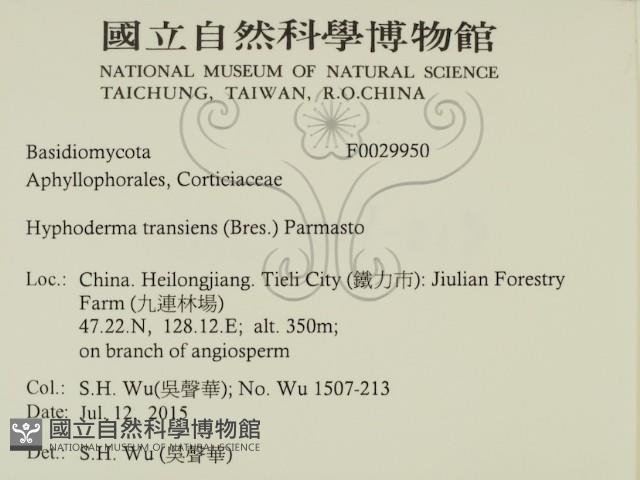 登錄號:F0029950藏品圖，第2張