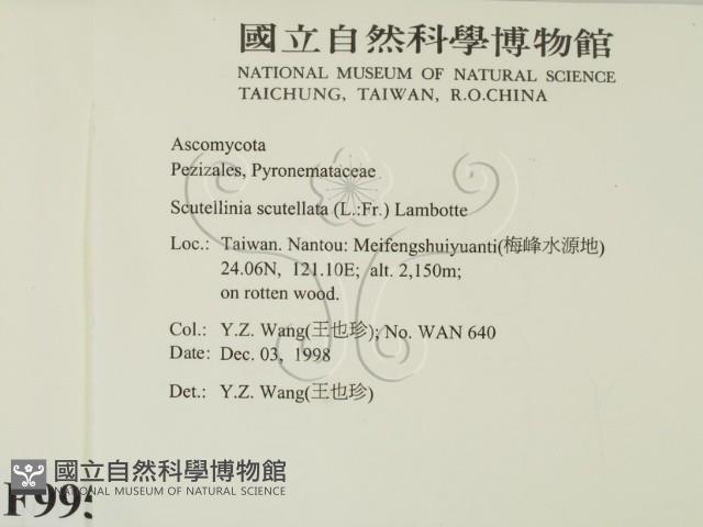 登錄號:F0009950藏品圖，第2張