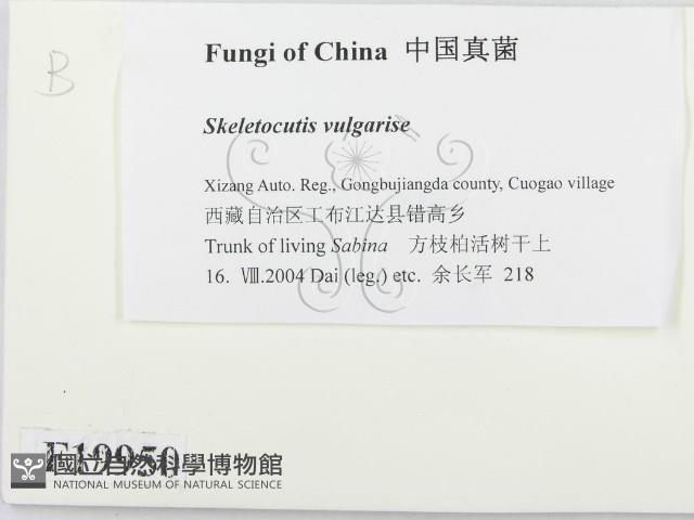 登錄號:F0019950藏品圖，第2張