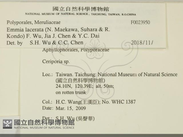 登錄號:F0023950藏品圖，第2張