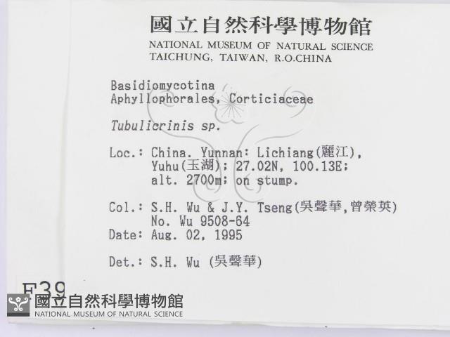 登錄號:F0003950藏品圖，第2張