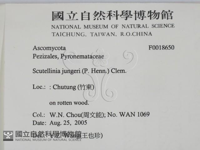 登錄號:F0018650藏品圖，第2張