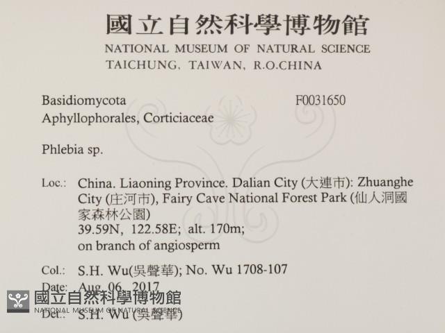 登錄號:F0031650藏品圖，第2張