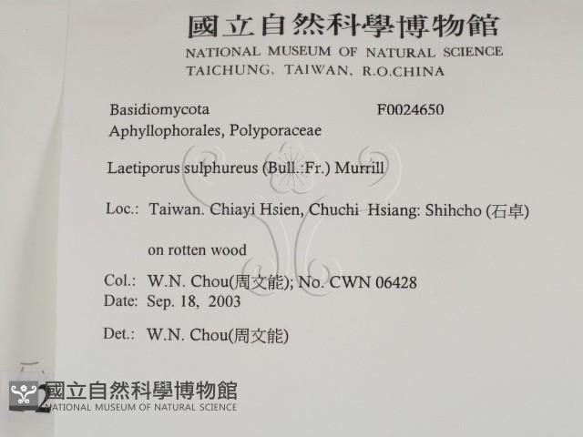 登錄號:F0024650藏品圖，第2張