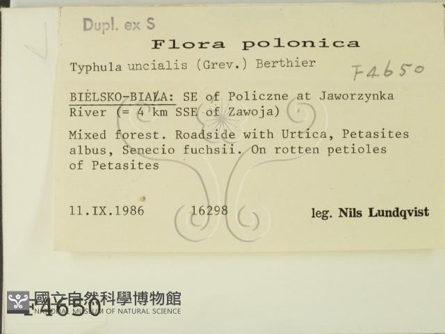 登錄號:F0004650藏品圖，第2張