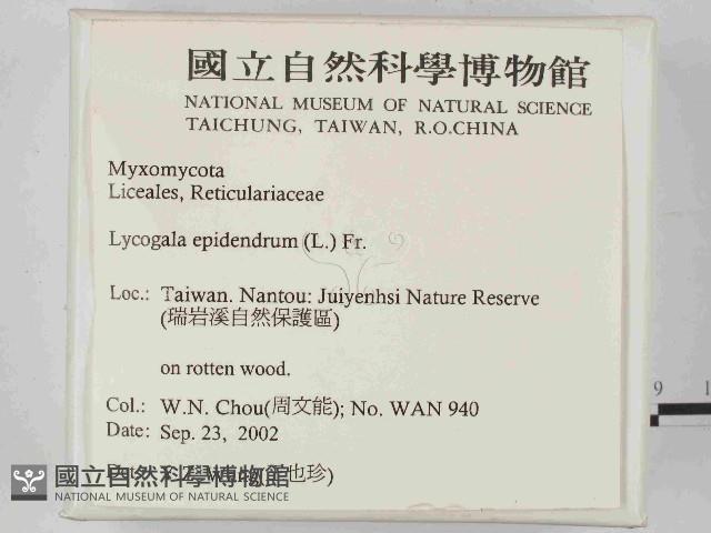 登錄號:F0014650藏品圖，第2張