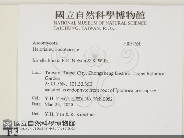 登錄號:F0034650藏品圖，第2張