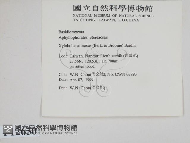 登錄號:F0012650藏品圖，第2張