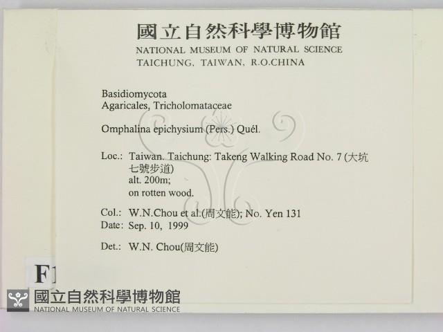 登錄號:F0015650藏品圖，第2張