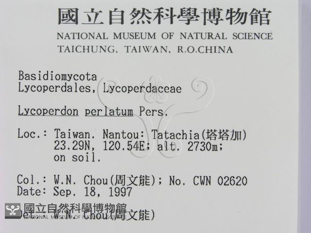 登錄號:F0009650藏品圖，第2張