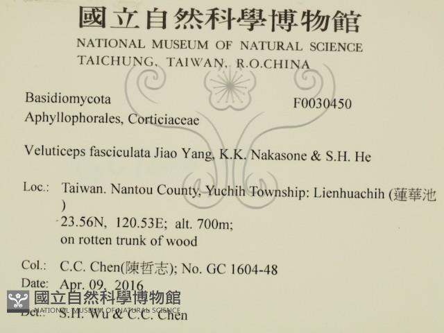 登錄號:F0030450藏品圖，第2張