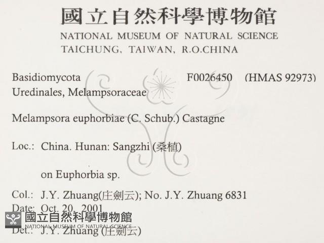 登錄號:F0026450藏品圖，第2張