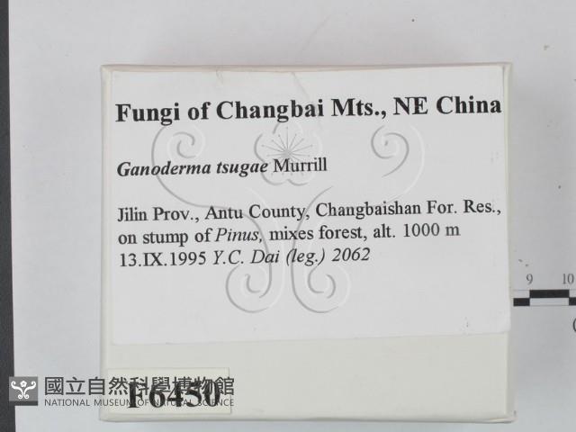 登錄號:F0006450藏品圖，第2張