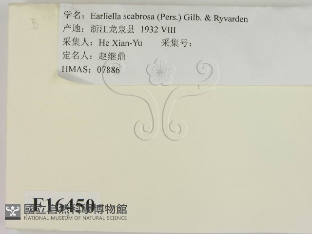 登錄號:F0016450藏品圖，第2張
