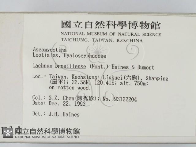 登錄號:F0001450藏品圖，第2張
