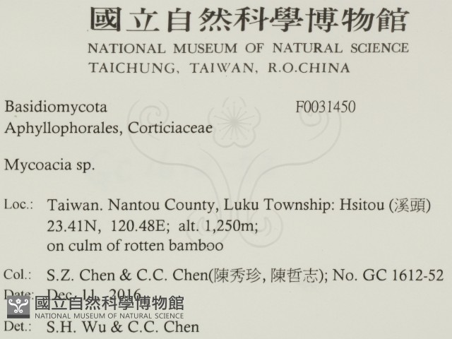 登錄號:F0031450藏品圖，第2張