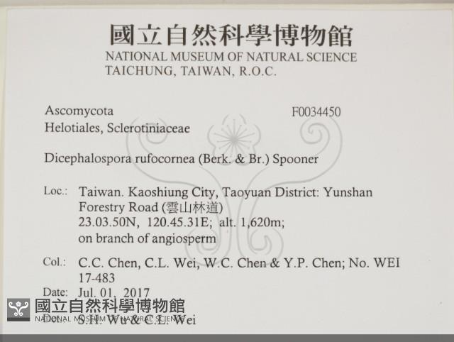 登錄號:F0034450藏品圖，第2張