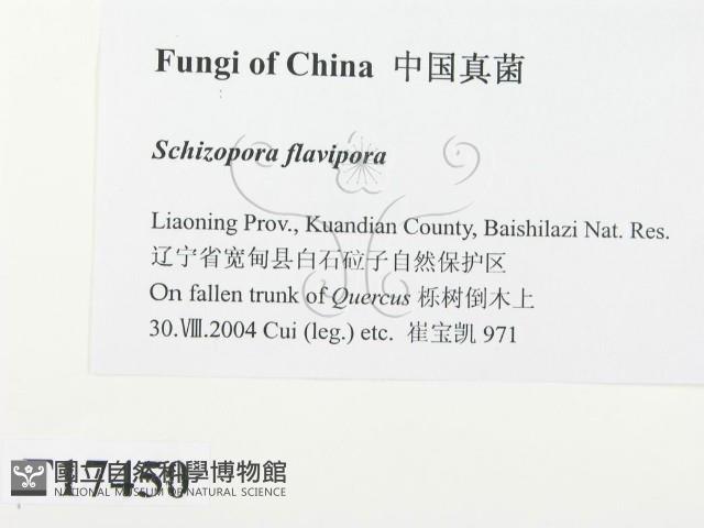 登錄號:F0017450藏品圖，第2張