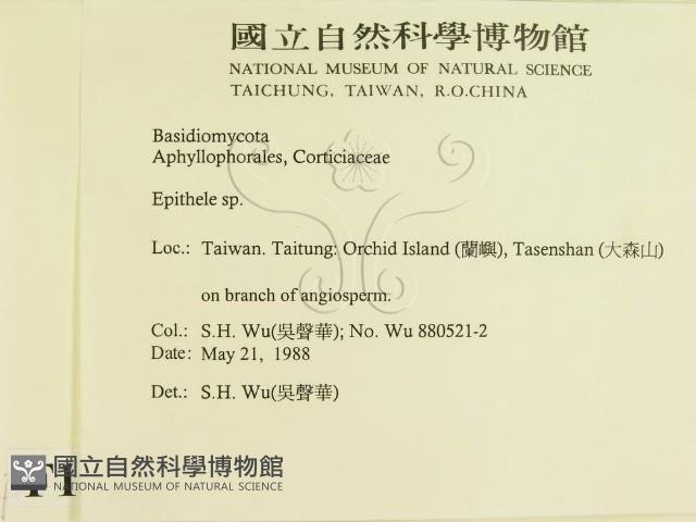 登錄號:F0015450藏品圖，第2張