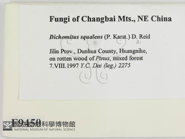 登錄號:F0009450藏品圖，第2張