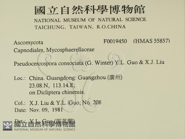 登錄號:F0019450藏品圖，第2張