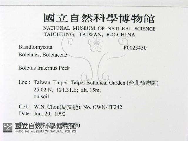 Accession Number:F0023450 Collection Image, Figure 2, Total 3 Figures