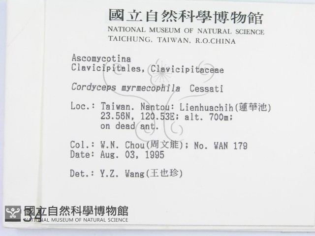 登錄號:F0003450藏品圖，第2張
